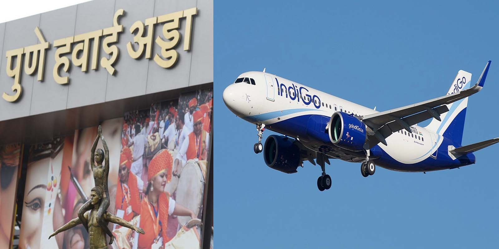 The Future of Sustainable Living: Driving Eco-Friendly Lifestyles